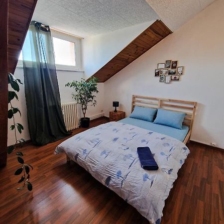 Nice Room 4 Minutes From Basel Shared Apartment Saint-Louis (Haut-Rhin) Exterior foto