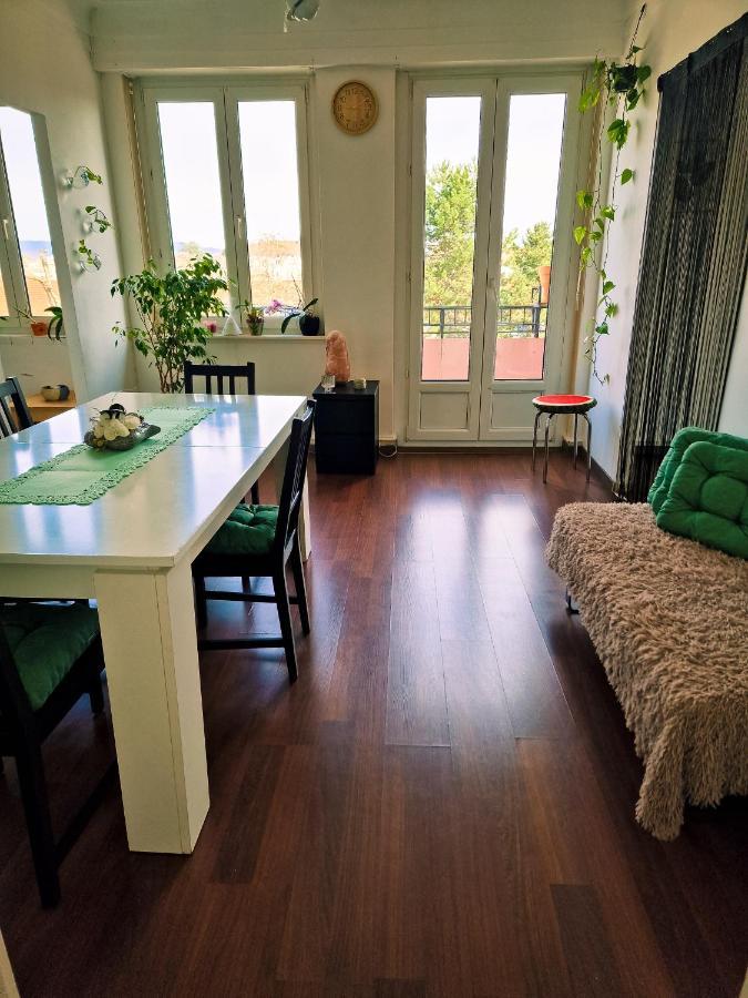 Nice Room 4 Minutes From Basel Shared Apartment Saint-Louis (Haut-Rhin) Exterior foto