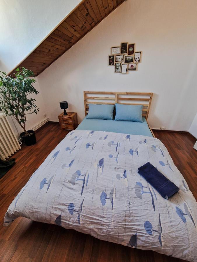 Nice Room 4 Minutes From Basel Shared Apartment Saint-Louis (Haut-Rhin) Exterior foto