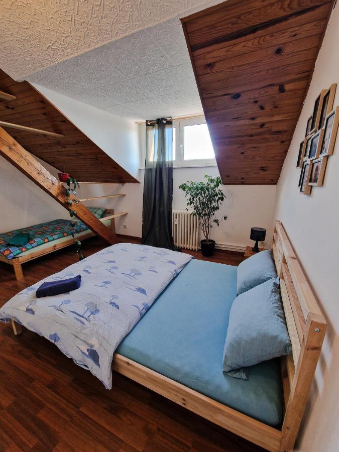 Nice Room 4 Minutes From Basel Shared Apartment Saint-Louis (Haut-Rhin) Exterior foto